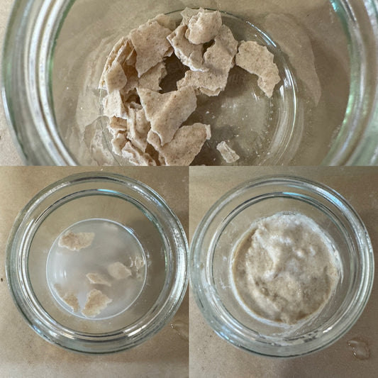 How to Rehydrate a Sourdough Starter.