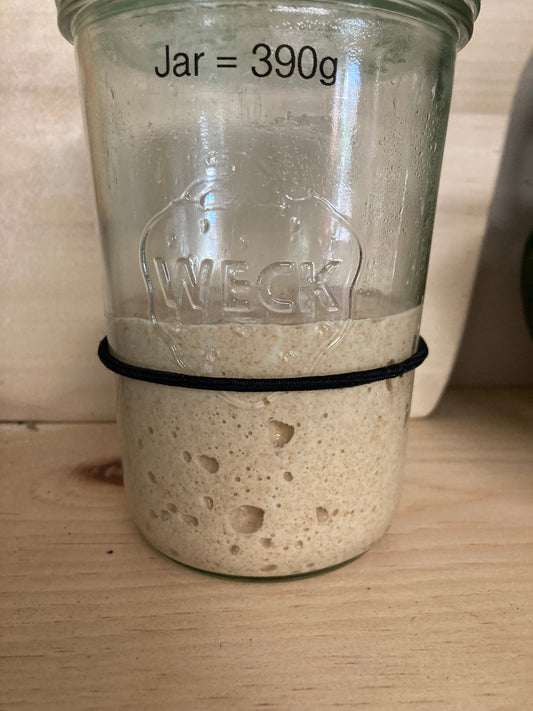Keeping a Sourdough Starter
