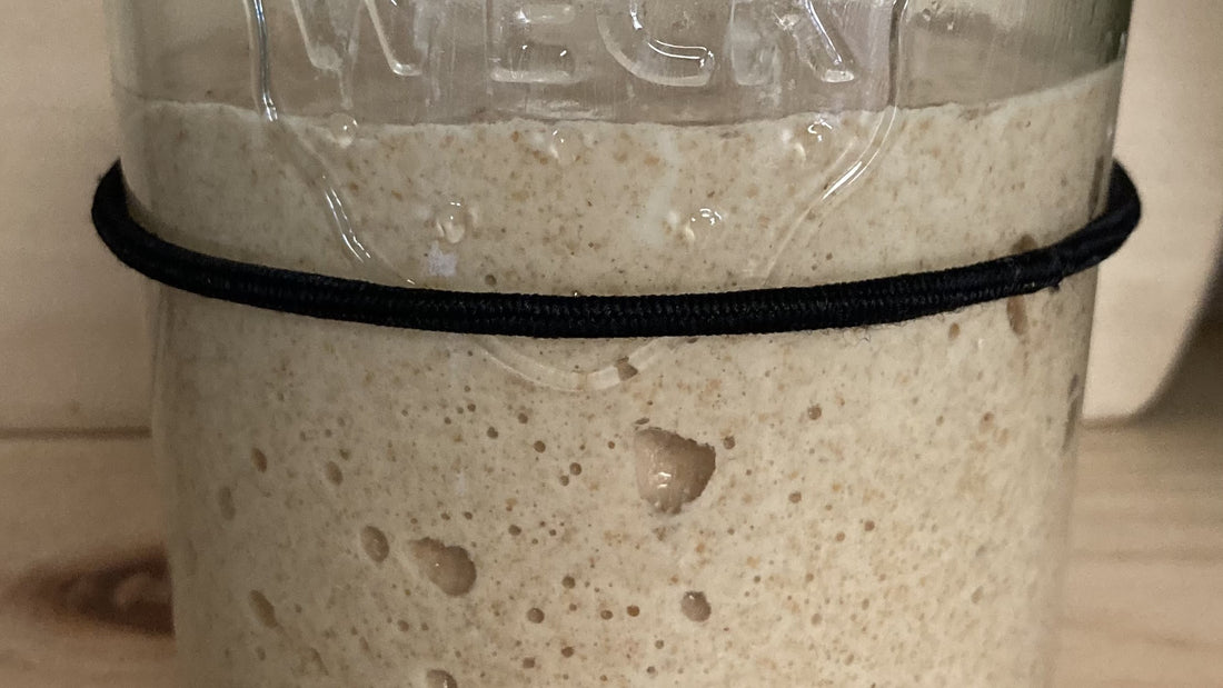 CCP - How to Rehydrate a Sourdough Starter.