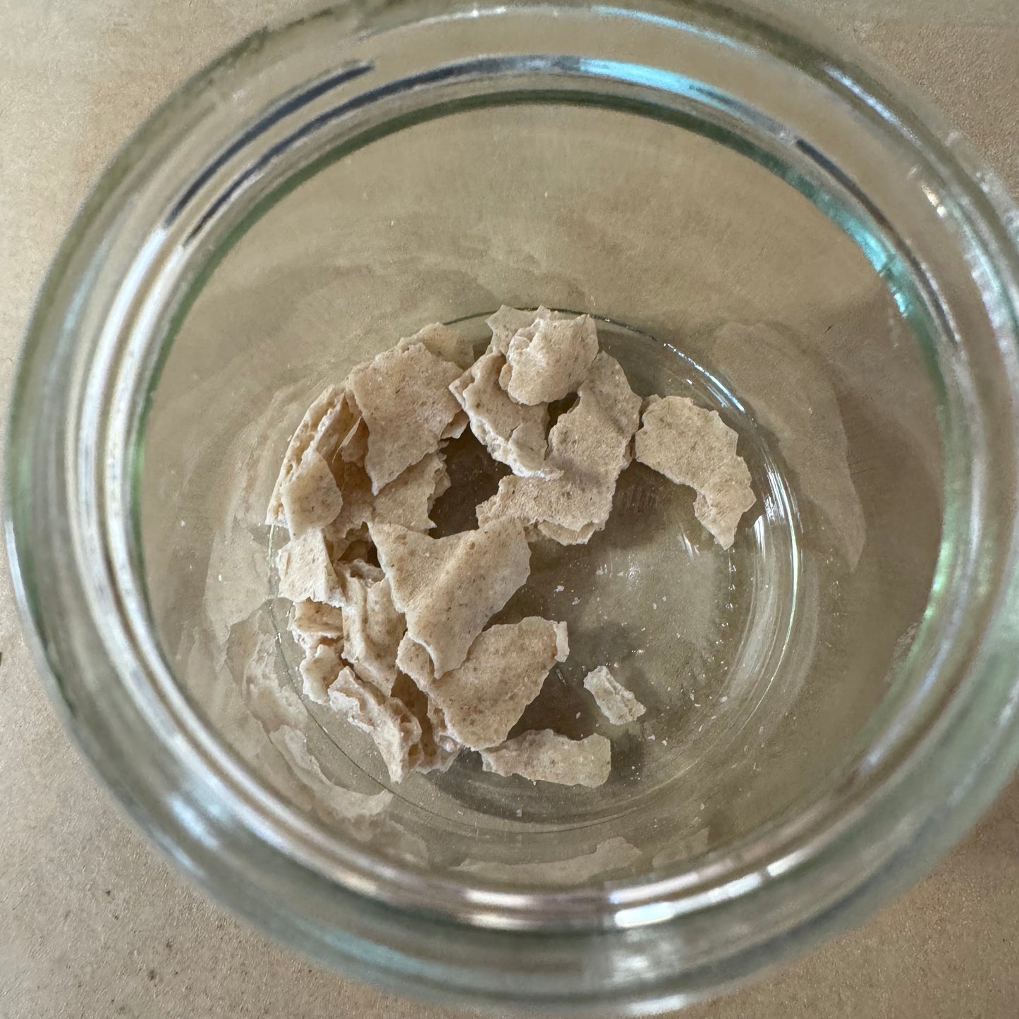 Dehydrated Starter from Carters Creek Pantry