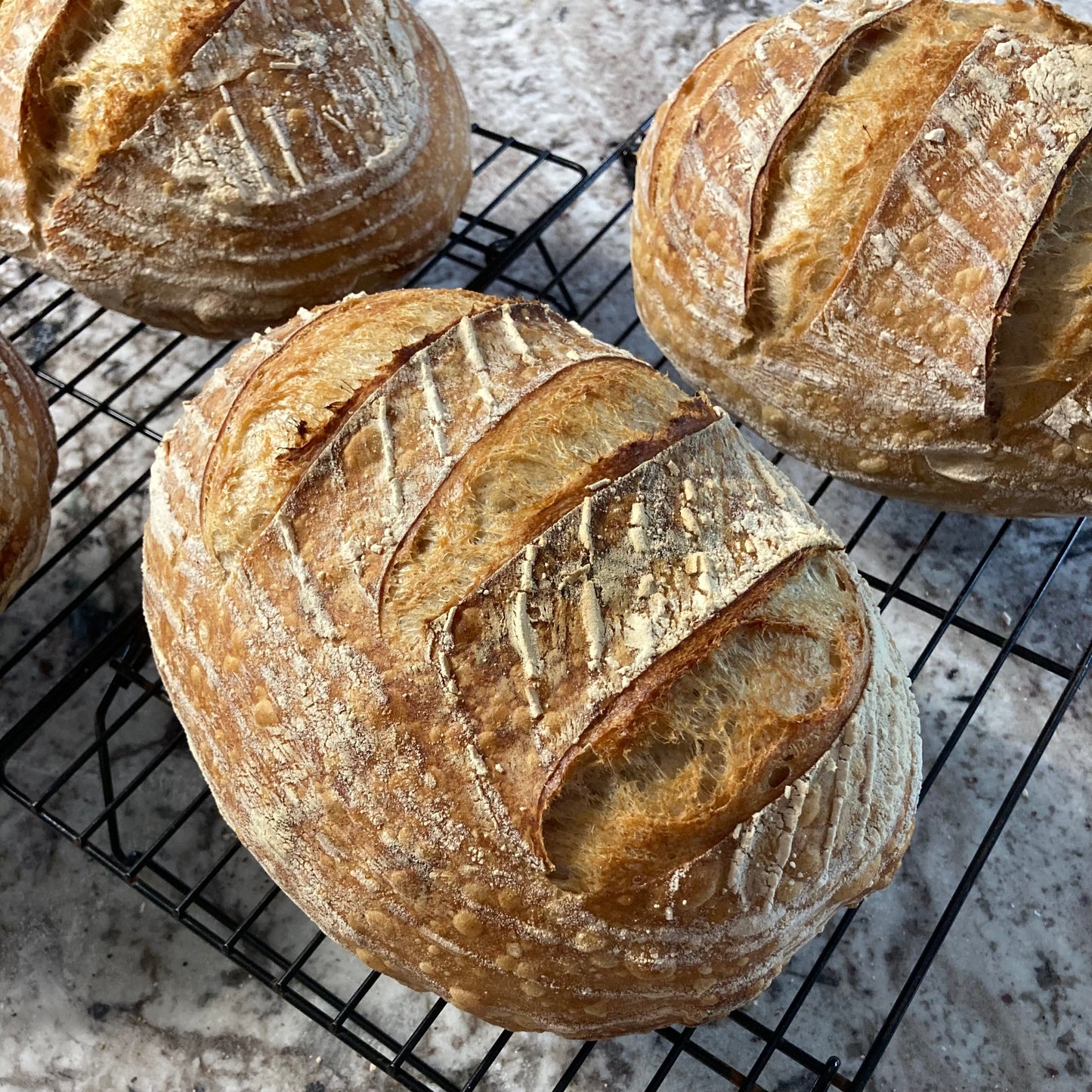 CCP Sourdough Loaf - 1kg